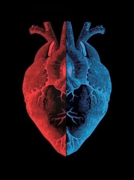 diego a. tejada gamboa